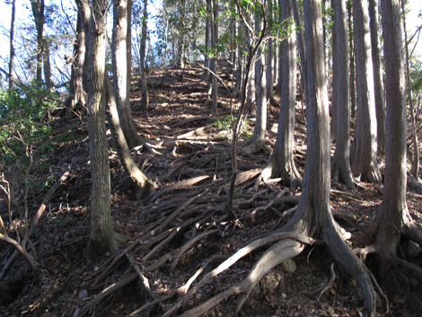 20181115hike (273)